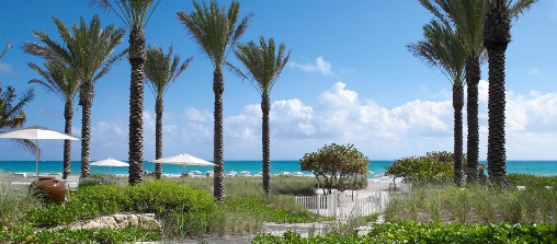 Our Beach