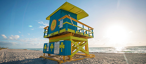 Enjoy Miami